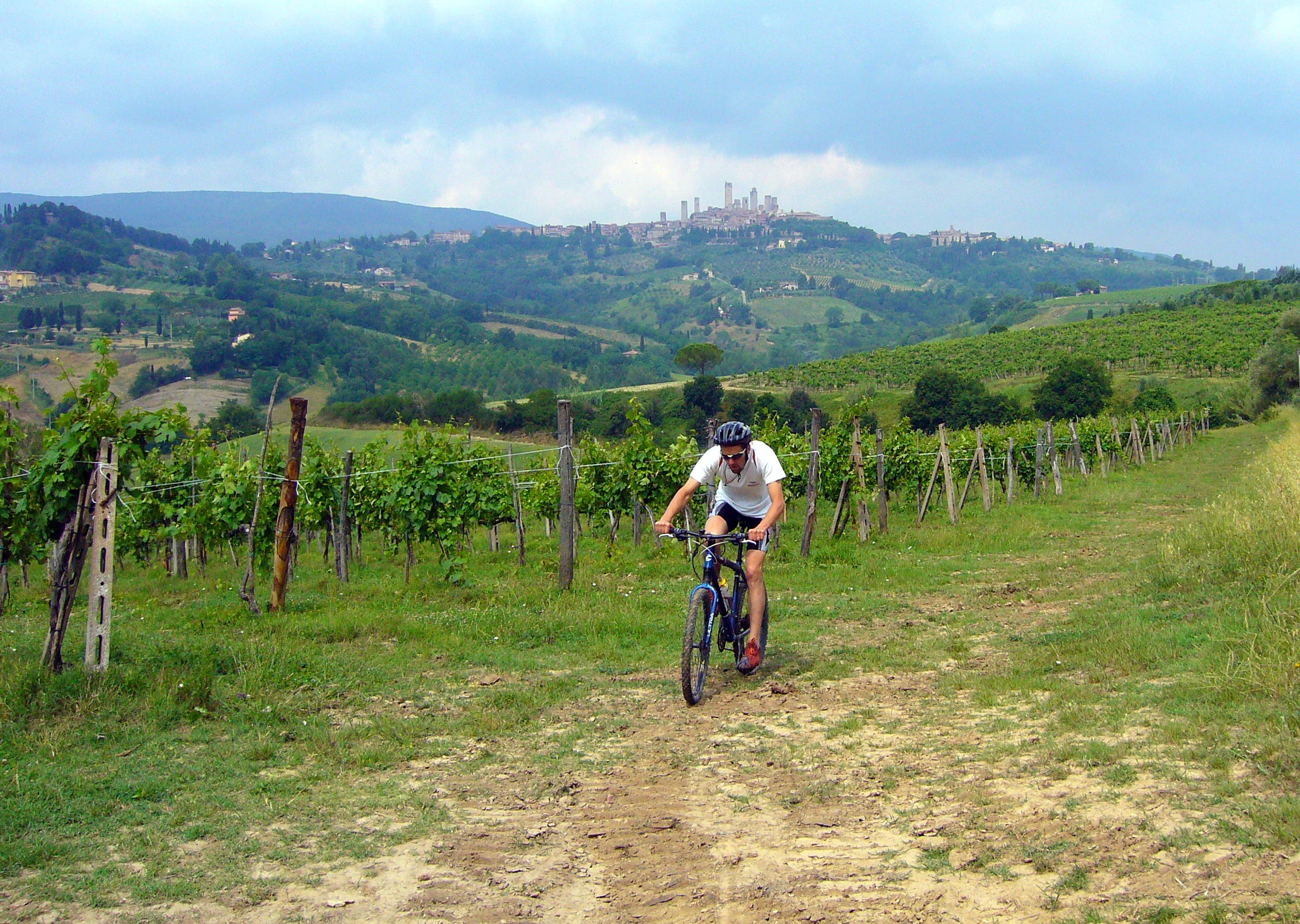 cycling across the vineyards along the Vernaccia wine road to San Gimignano
